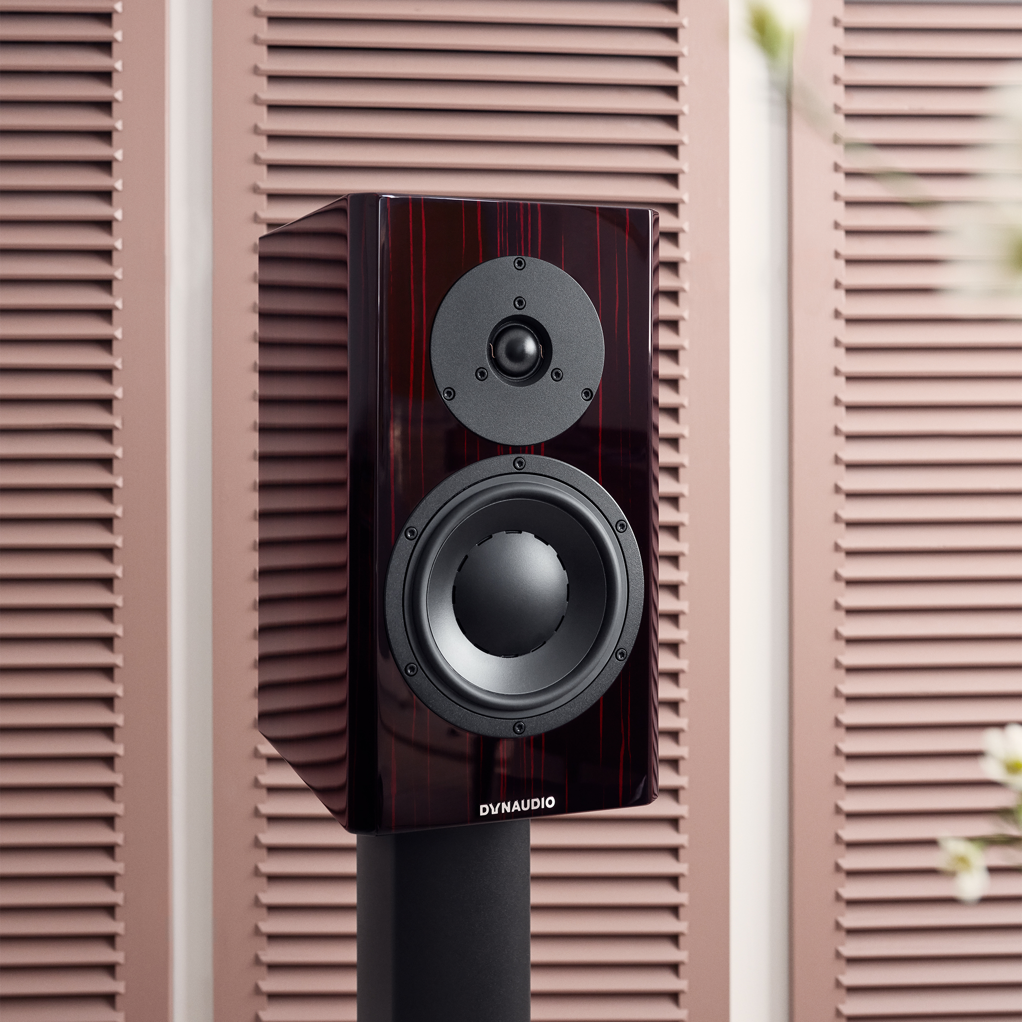 Special Forty | Cutting-edge acoustics in a classic design